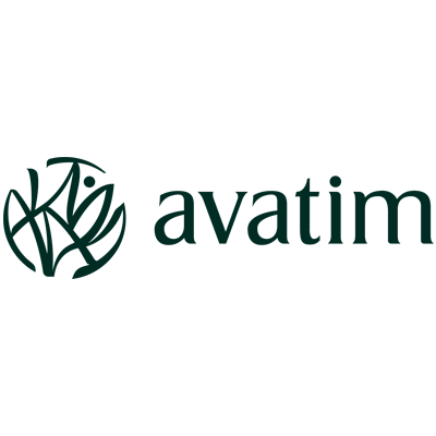 Avatim